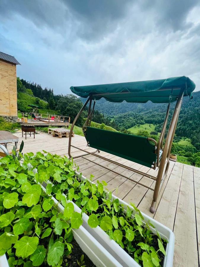 Mitarbi Silence - Cozy Holiday Cottages In Mountains Borjomi Exterior photo