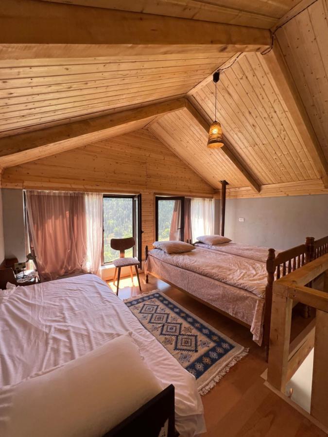 Mitarbi Silence - Cozy Holiday Cottages In Mountains Borjomi Exterior photo