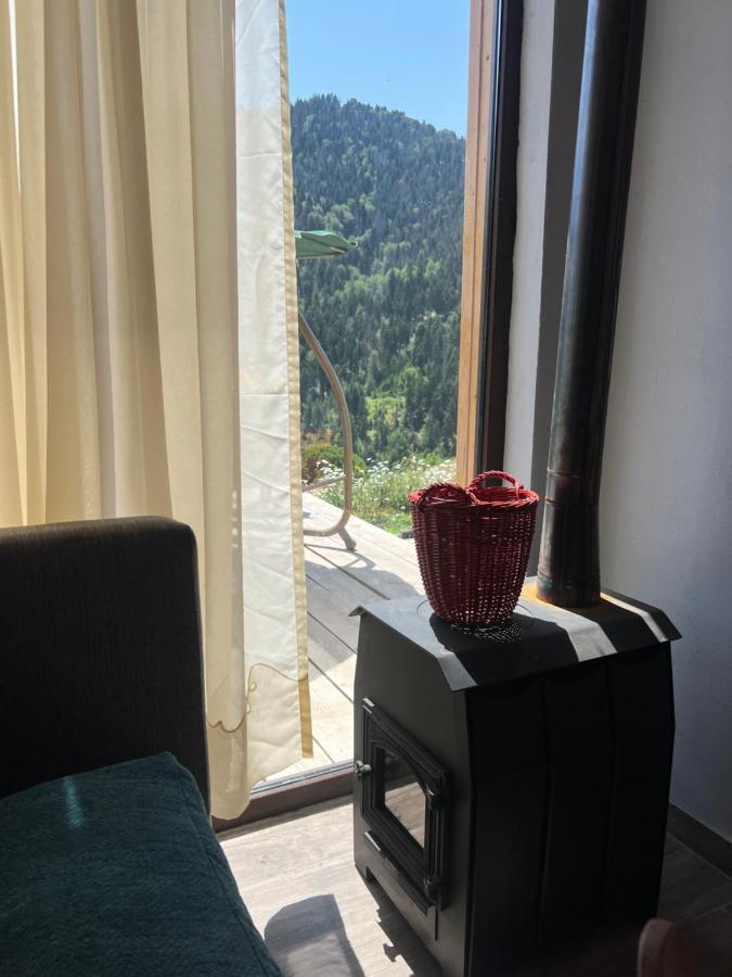 Mitarbi Silence - Cozy Holiday Cottages In Mountains Borjomi Exterior photo