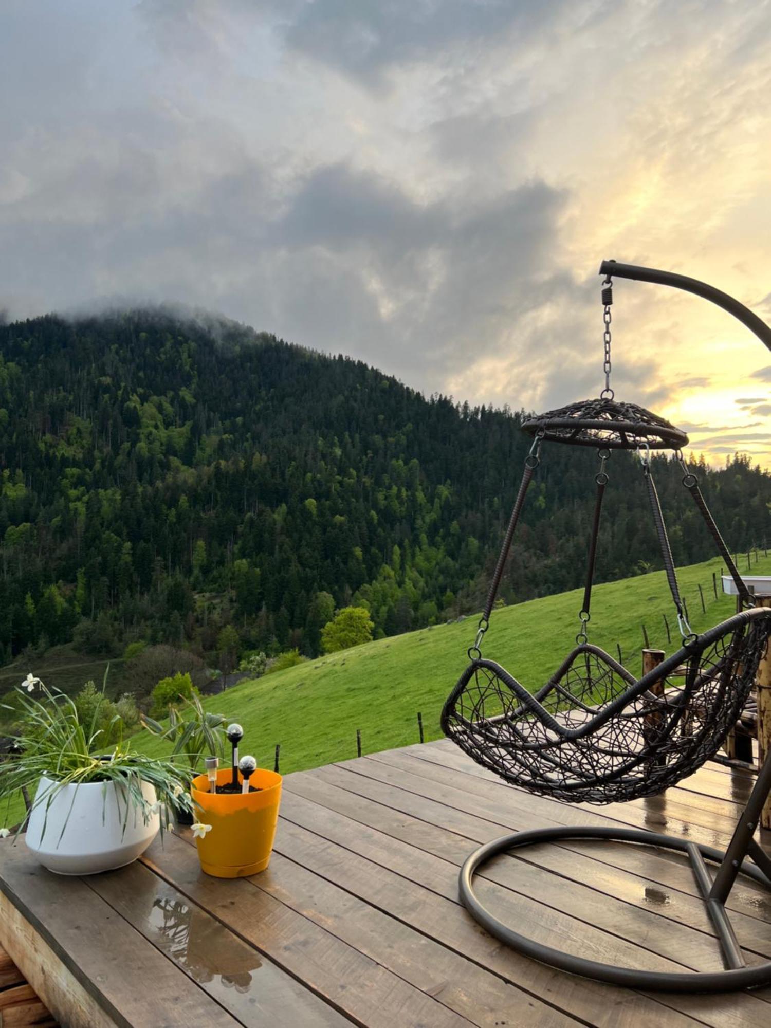 Mitarbi Silence - Cozy Holiday Cottages In Mountains Borjomi Exterior photo